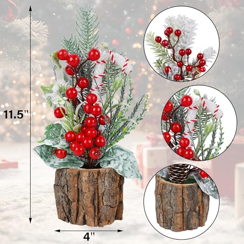 winemana Mini Christmas Trees Table Decorations for Indoor Office, 3 Pack - size: Style 6
