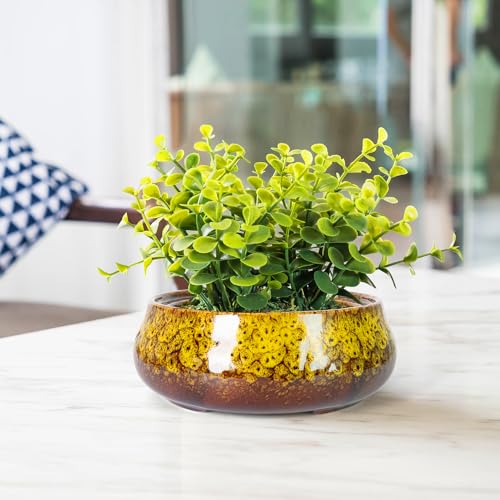 Bonsai Pots - 8 Inch Succulent Pots with Drainage, Shallow Planters - color: Yellow