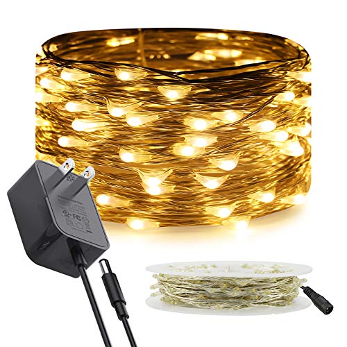 RUICHEN Fairy Lights Plug in, 33 Ft 100 LED Silver Wire Lights, Warm White - color: Warm White