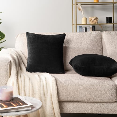 PAVILIA Black Decorative Throw Pillow Covers 20x20 Set of 2, Plush Cozy - color: Black, size: 20" x 20" (Pack of 2)