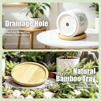 YROVWENQ 3.15 inch Small Ceramic Cactus Planter Pot, No Plants - color: You Are Beautiful