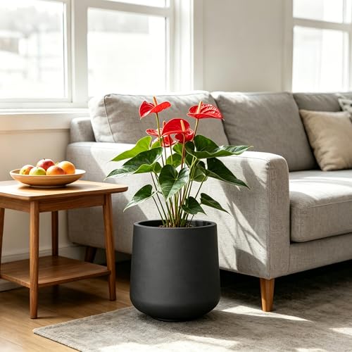 Kante Accent Round Curved Black Concrete Planter 13" Dia, Outdoor - color: Burnished Black, size: 11.6" D