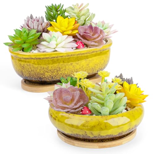 Succulent Pots, 1 Rectangle Planter + 1 Ceramic Bonsai Pots with Drain Tray - color: Yellow