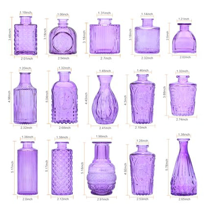 Glass Bud Vase Set of 15, Small Glass Vases for Flowers