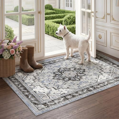 Area Rugs Small 2x3 Washable Non-Slip Boho Indoor Carpets, Blue Grey - color: Blue Grey, size: 2' x 3' (Rectangular)