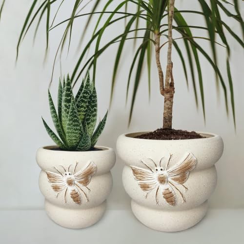 Ceramic Plant Pots, 8+6 Inch, 2 Pcs Indoor Planters with Drainage Holes - color: Terrabee Beige, size: 8+6 Inch