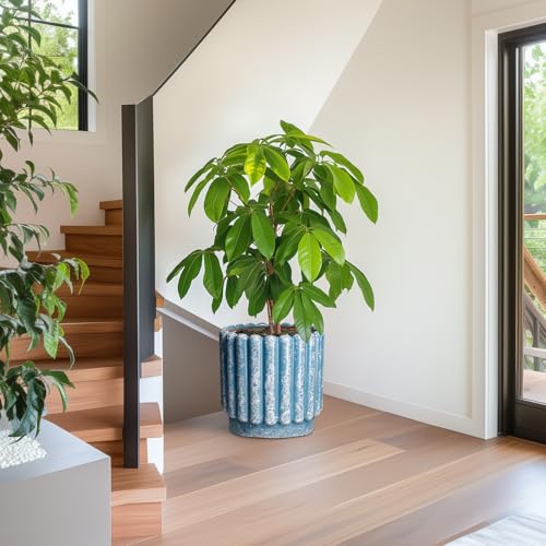 Ceramicfor Ceramic Planter, 12 Inch, Blue - color: Sky Blue, size: 12 Inch