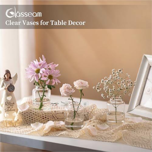 Glasseam Bud vases Set of 12: Glass Vases for Centerpieces Modern Small Vases for Home Table Shelf Wedding Party Decoration - Clear Vase for Flowers Stem Roses Tuilps Cuttings - size: 12Pcs