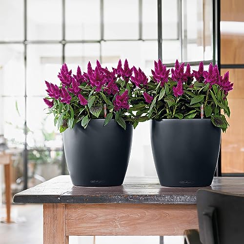 Lechuza Classico Color 21 Slate, Self-Watering Small Round Planter, D8.3 H7.9 in - color: Slate Matte, style: 21