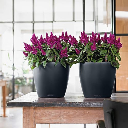 Lechuza Classico Color 21 Slate, Self-Watering Small Round Planter, D8.3 H7.9 in - color: Slate Matte, style: 21