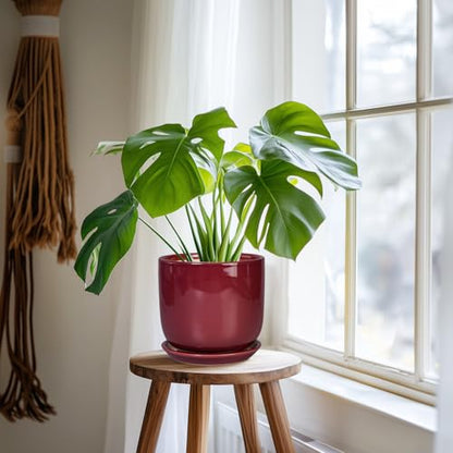 Ceramic Planter for Plants, Round Modern 7 Inch Plant Pot, Red - color: Red, size: 7 Inch