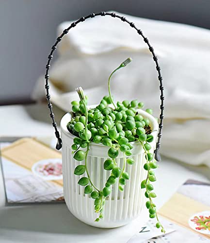Melphoe 3.5‘’ Two-Piece Succulent Planters Pots with Drainage, Flexible Removable Handle, Flower Pots for Mini Plants, Small Hanging Planter for Wall, Window, 6 PCAK, White - color: White