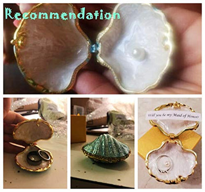 Metal Glass Pearl Mussel Trinket Box Ring Holder Centerpiece Decor