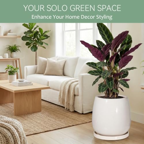 10.3 Inch Ceramic Glaze Plant Pot with Saucer, Flower Pots with Drainage Hole Mesh Net(Hemp-Gray Dot) - color: Hemp Gray Dot