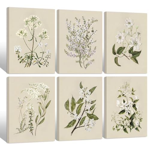 Vintage Botanical Wall Art Set of 6 Neutral Floral Canvas Wall Decor Wildflower Wall Art Watercolor Flower Prints Botanical Poster Minimalist Plant Pictures for Bedroom Room 12x16 Inch Wrapped Canvas - color: Neutral Floral Prints, size: 12x16 Inch Wrappe