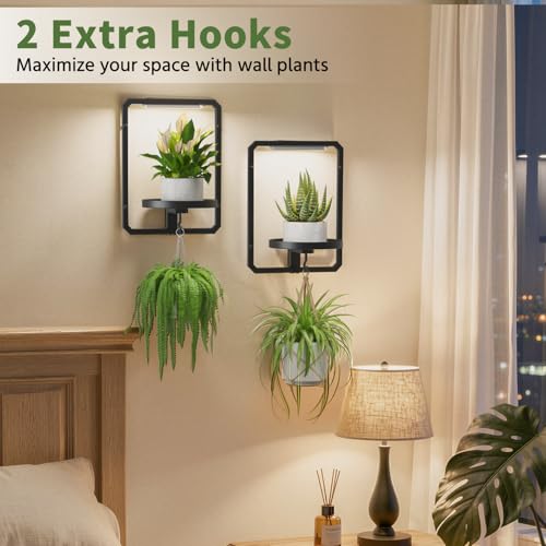 LASZOLA Plant Picture Frame Holder Shelf Wall with Lights, 3 Pcs Black - color: Glossy Black with Lights, size: 3