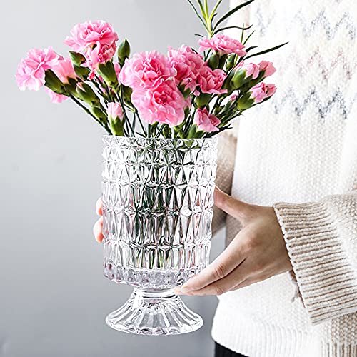 7 Inch Modern Glass Vase with Embossed Ribbed Base - Clear Hydroponic Design for Home Decor, Weddings Party Living Room, Dining Table Floral Arrangement Centerpiece - color: Rhombus