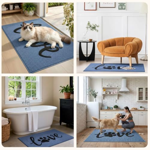 Bulijojo Dirt Trapper Door Mat, 24"x36" Non Slip Entrance Mat Blue - color: Blue, size: 2' x 3' (Rectangular)