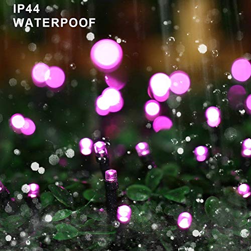 HOME LIGHTING 66ft Halloween Decorative Mini Lights, 200 LED Green Wire Fairy Starry String Lights Plug in, 8 Lighting Modes, for Indoor Outdoor Xmas Tree Wedding Party Decoration (Purple) - color: Purple