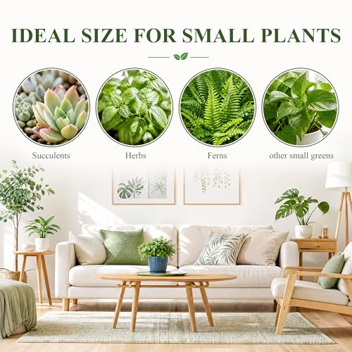 Ceramic Plant Pots, Modern Flower Pots, Small Plant Pots 4.5+5.5inch - color: Blue