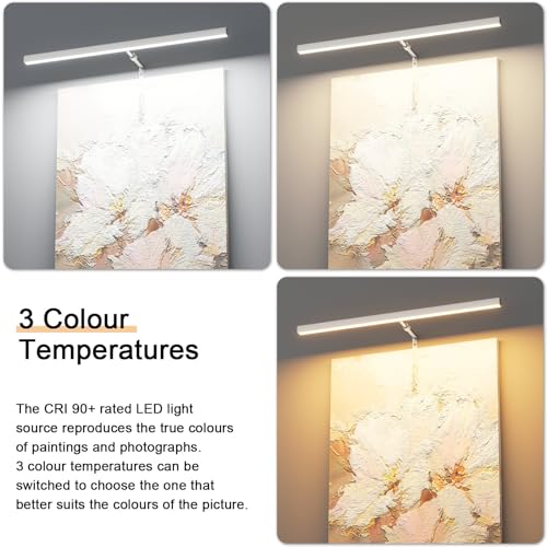 24" LED Picture Light Plug in, 9W Nickel Art Light - color: Nickel, size: 24 inch