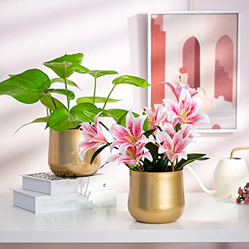 NUPTIO Metal Flower Plant Pot with Drainage Hole, 5.71", 2 Pcs - color: Style 1#, size: 5.7in Tall-2pcs