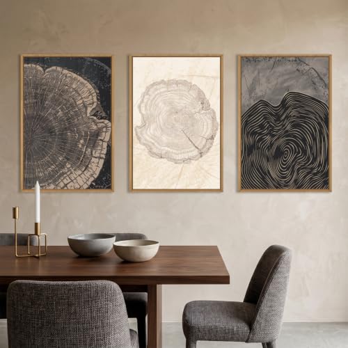 DRACIT Beige Pastel Wood Tree Rings Framed Canvas Wall Art Set-16"x24"x3 - color: Beige Tree Rings Wall Art, size: 16"L x 24"W