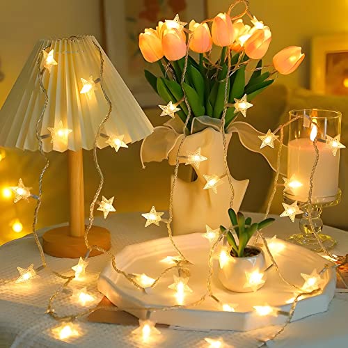 ANJAYLIA 20 LED Star Lights, 10FT Battery Operated Fairy Light, Warm White - color: Warm White 10 FT