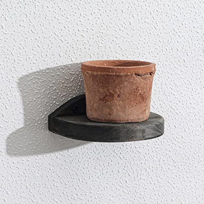 Freezing point Small Floating Shelves for Wall Set of 2 Semicircle Wood 4Inch Mini Wall Shelf Decor Plant Display Collectibles Mounted Kitchen Bathroom Bedroom Corner Decorative Storage Tiny Stand
