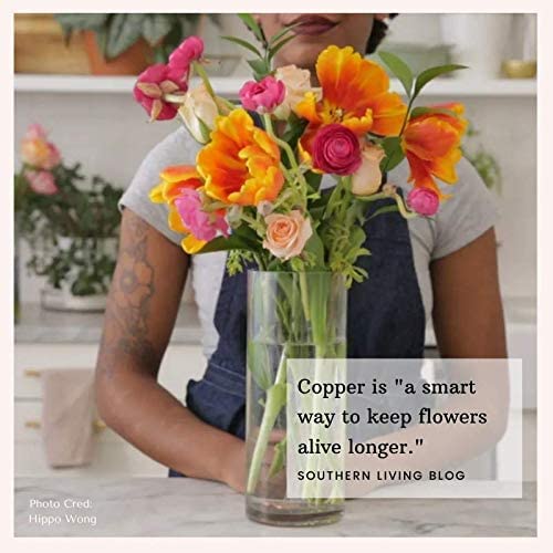 Flower Food Alternative for Fresh Cut Flowers. Copper Charm Keeps Flower Water Clean and Clear. Just Place it in the Vase, Reusable Star 5 - color: Star, size: Pack of 5