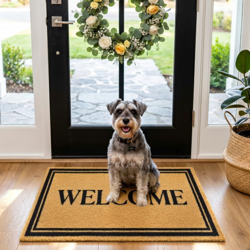 Front Door Mat Outside Non-Slip Welcome Doormat (Welcome, 17x29 in) - color: Welcome Border