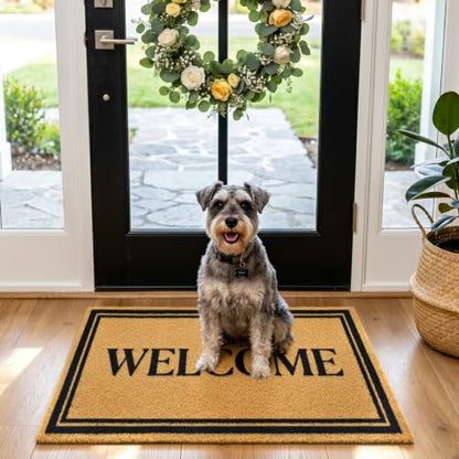 Front Door Mat Outside Non-Slip Welcome Doormat (Welcome, 17x29 in) - color: Welcome Border