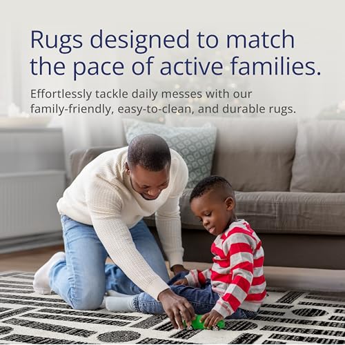 Abani Nomad Cream & Grey Area Rug 4' x 6' for Living Room, Bedroom - Geometric Pattern - Durable & Easy to Clean - size: 4x6