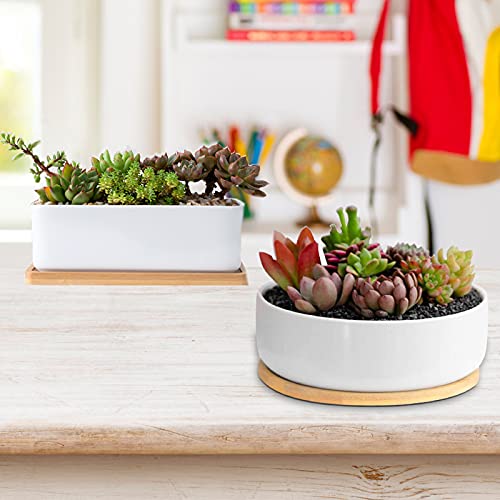 White Ceramic Succulent Plant Pots, 1 Rectangular Flower Pot + 1 Round Planter, Set of 2 Small Cactus Container, Bonsai Pots, Succulent Pots with Drainage Hole& Bamboo Tray (No Plant) - color: Rectangular+round