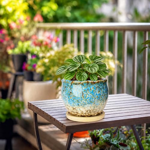 ARTKETTY Succulent Pots, 4 Inch Plant Pots with Drainage Tray - color: 4'' Colorful 1
