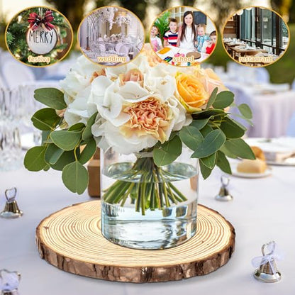 FSWCCK 2 Wood Slices 8-9in, Large Slabs for Wedding DIY - size: 2 Pcs 8"-9"