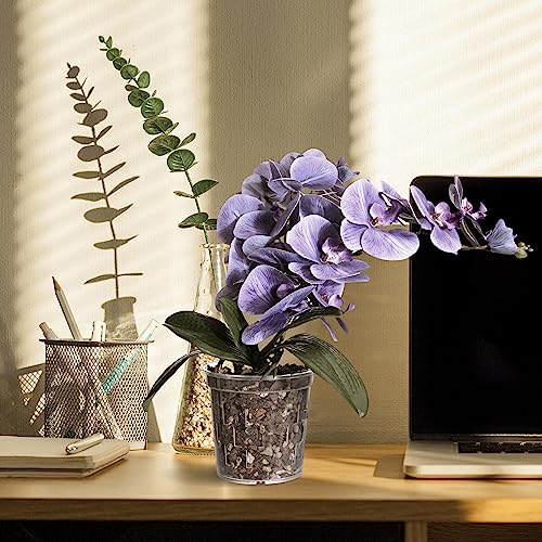 TRUEDAYS Orchid Pot, 6 Pack 5 Inch Plant Pot with Drainage - size: 5Inch-6Pack