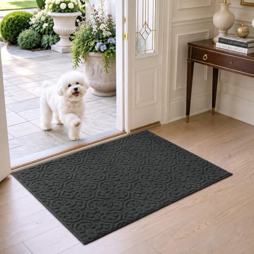 DEXI Front Door Mat Indoor Entrance, 32x48 Entryway Doormat, Dark Grey - color: Dark Grey, size: 32" X 48" (Rectangular)