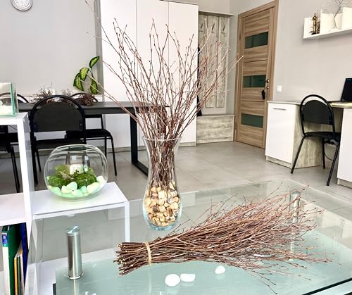 ECOVENIK - 50 psc. Birch Twigs – 100% Natural Decorative Branches for Vases, Centerpieces & DIY Crafts – Birch Sticks for Decorating (16-18 Inch) - size: 50 psc - brown