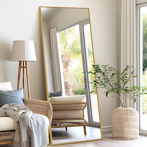 NeuType Full Length Floor Mirror Standing Hanging or Leaning Against Wall, Large Rectangle Bedroom Dressing Mirror Wall-Mounted, Aluminum Alloy Thin Frame, 65"x22"