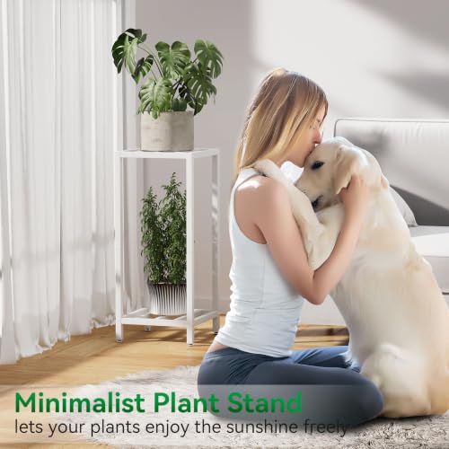 IBUYKE 30 Inch Tall Plant Stand Indoor, 2 Tier Flower Stand, White TMJ070W - color: White-Square