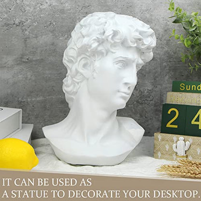 Norrclp 11in Greek Statue of David, Classic Roman Head Bust - color: David-11in