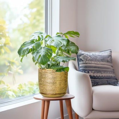 8 Inch Plant Pot, Ceramic Planter with Drainage and Saucer, Gold - color: Gold, size: 8 Inch