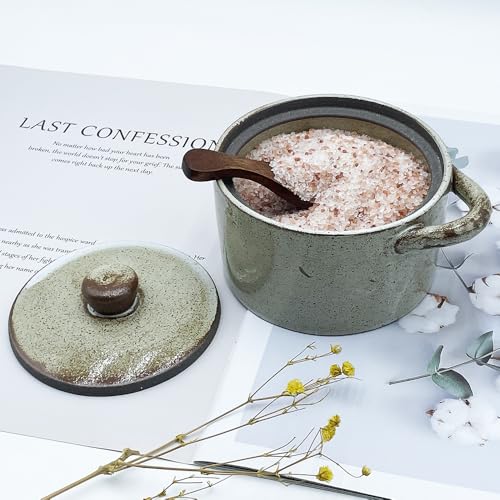 12 oz Ceramic Salt Cellar with Lid & Wooden Spoon,Countertop Salt Container,Sugar Bowl,Spices Jar| Artisan Kitchen Decor(Coarse Pottery) - color: Coarse Pottery B