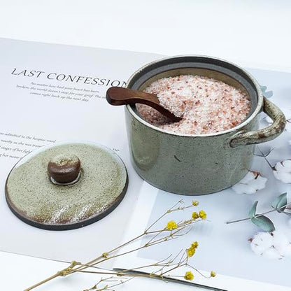 12 oz Ceramic Salt Cellar with Lid & Wooden Spoon,Countertop Salt Container,Sugar Bowl,Spices Jar| Artisan Kitchen Decor(Coarse Pottery) - color: Coarse Pottery B