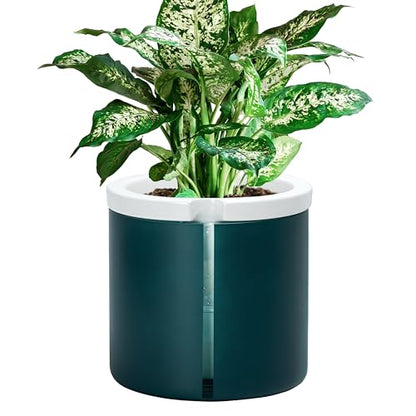 D'vine Dev Self Watering Terracotta Pot, Teal Glass Cup, 8 in, 37-X-C-5 - color: Teal, size: 8 Inch