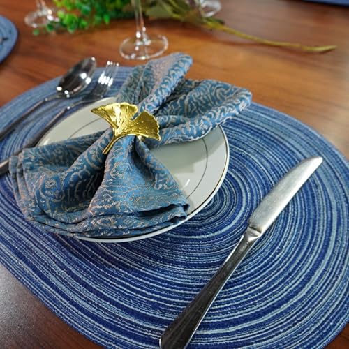 WAZAIGUR Oval Placemats Set of 6, Woven Braided, 18 x 12 Inch, Blue ＆ White - color: Blue and White, size: set of 6