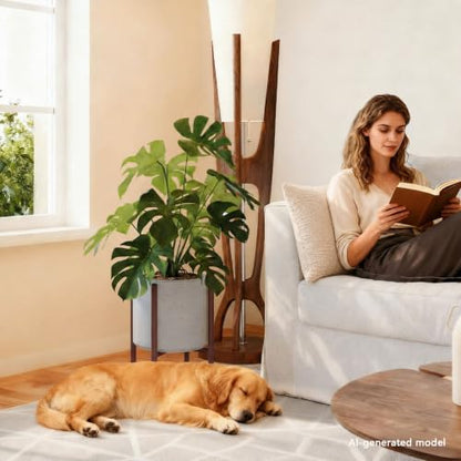 Adjustable Plant Stand Indoor, 2 Heights, Coffee with Round Plate - color: coffee-b