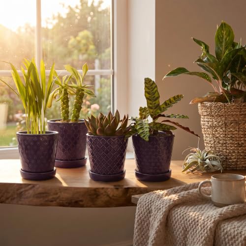 EFISPSS Ceramic Plant Pots, 5 Inch Planters with Drainage Holes and Ceramic Tray, Relief Design Flower Planter, Desktop Office Windowsill Decoration Gift Set of 4 - Purple - color: Purple