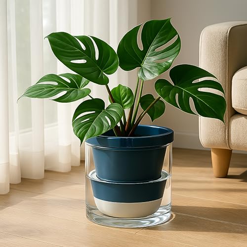 D'vine Dev Self-Watering Blue Terracotta Planter Pot, 10 in, 37-X-D-4 - color: Blue, size: 10 Inch